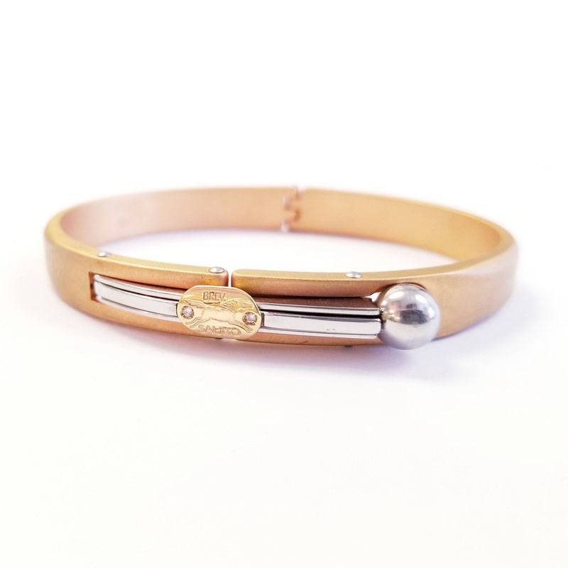 Sauro Stainless Steel and 18K Gold Plated Copper Unisex Bangle Bracelet